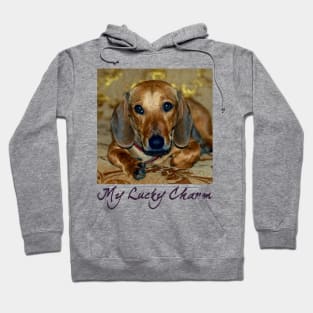 My Lucky Charm Dachshund Dog Hoodie